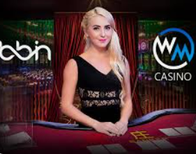 pg赢财神免费版